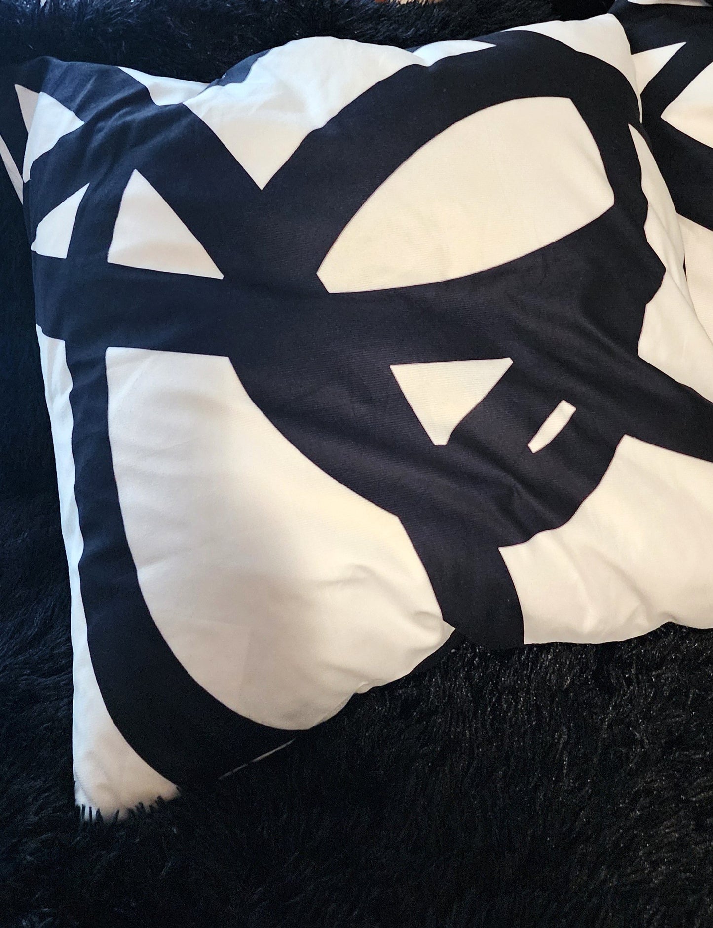 Set of 2-24"x24" Black & White Goose Down Accent Pillows