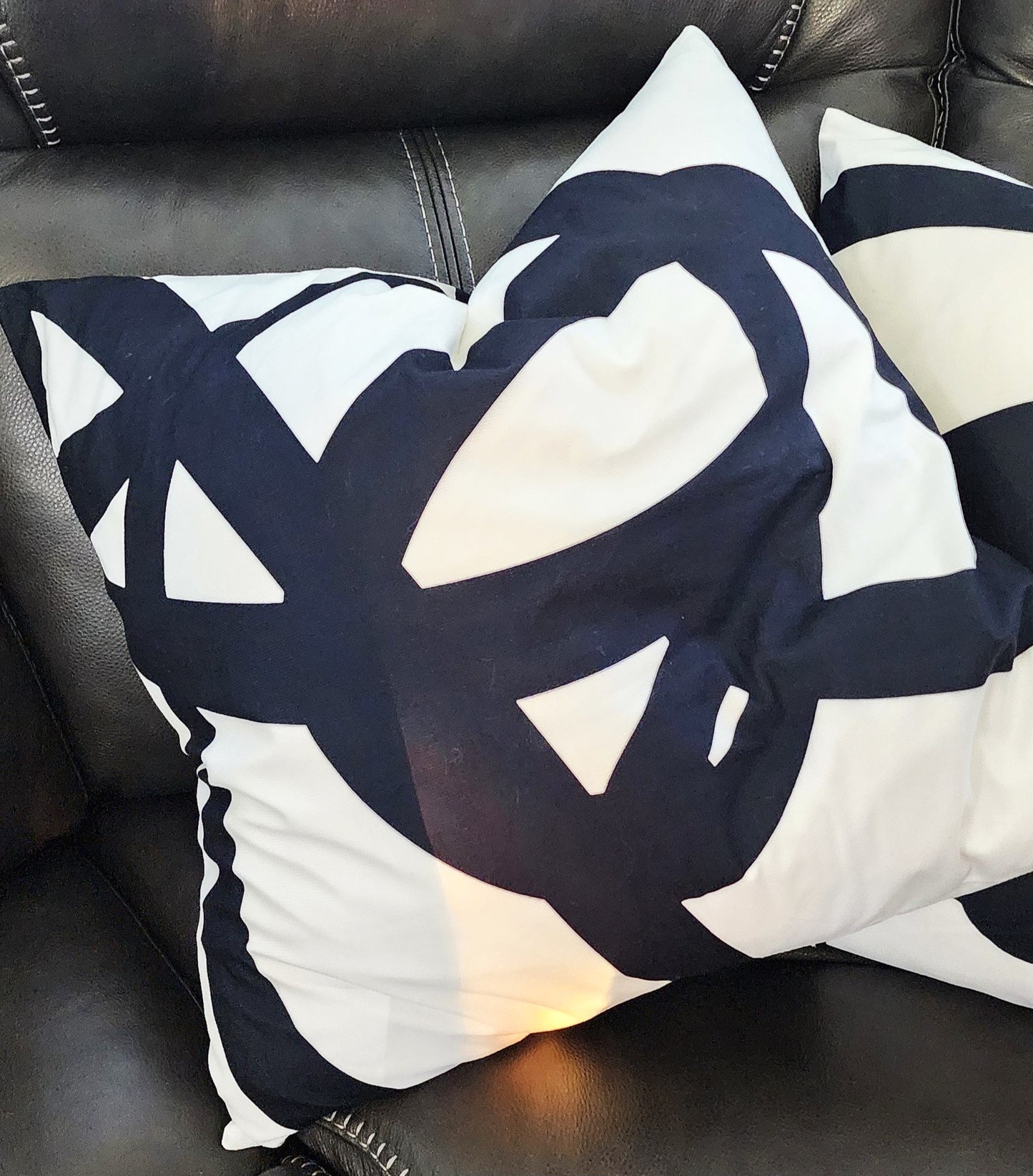Set of 2-24"x24" Black & White Goose Down Accent Pillows