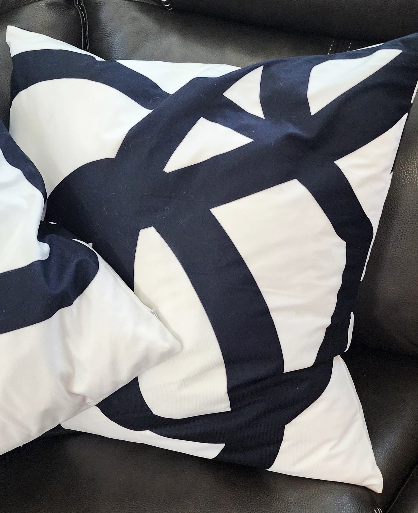Set of 2-24"x24" Black & White Goose Down Accent Pillows
